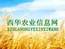 ���A�r(n��ng)�I(y��)��